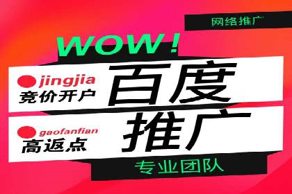 SEM外包服务应用案例分析